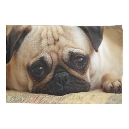 Kutest Baby Animals | Baby Pug Puppy Kussensloop (Achterkant)