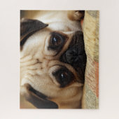 Kutest Baby Animals | Baby Pug Puppy Legpuzzel (Verticaal)