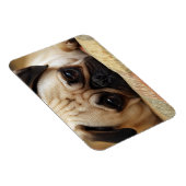 Kutest Baby Animals | Baby Pug Puppy Magneet (Rechterzijde)