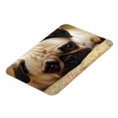 Kutest Baby Animals | Baby Pug Puppy Magneet (Linkerzijde)
