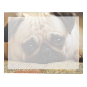 Kutest Baby Animals Baby Pug Puppy Notitieblok