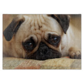 Kutest Baby Animals | Baby Pug Puppy Snijplank (Voorkant)