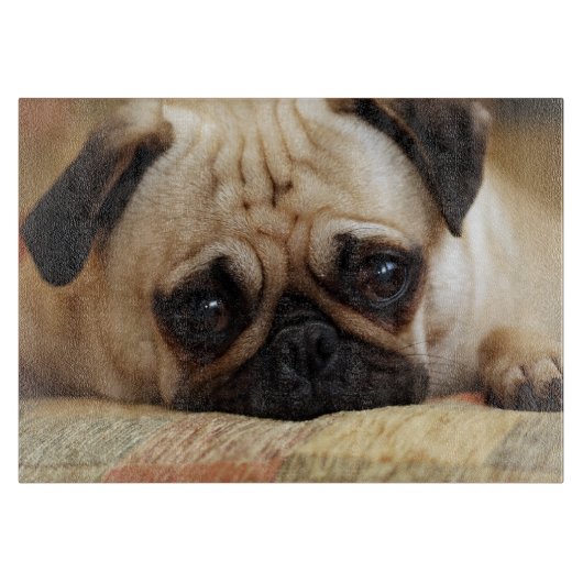 Kutest Baby Animals | Baby Pug Puppy Snijplank (Voorkant)