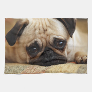 Kutest Baby Animals   Baby Pug Puppy Theedoek