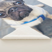 Kutest Baby Animals | Baby Pug Sherpa Deken (3/4)