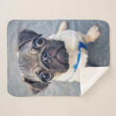 Kutest Baby Animals | Baby Pug Sherpa Deken (Voorkant (horizontaal))