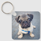 Kutest Baby Animals | Baby Pug Sleutelhanger (Voorkant)