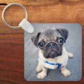 Kutest Baby Animals | Baby Pug Sleutelhanger (Voorkant)