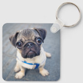 Kutest Baby Animals | Baby Pug Sleutelhanger (Achterkant)