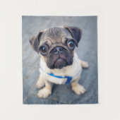 Kutest Baby Animals | Baby Pug Wandkleed (Voorkant)