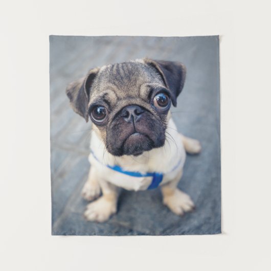 Kutest Baby Animals | Baby Pug Wandkleed (Voorkant)