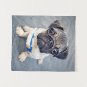 Kutest Baby Animals | Baby Pug Wandkleed (Voorkant (horizontaal))