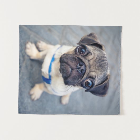 Kutest Baby Animals | Baby Pug Wandkleed (Voorkant (horizontaal))