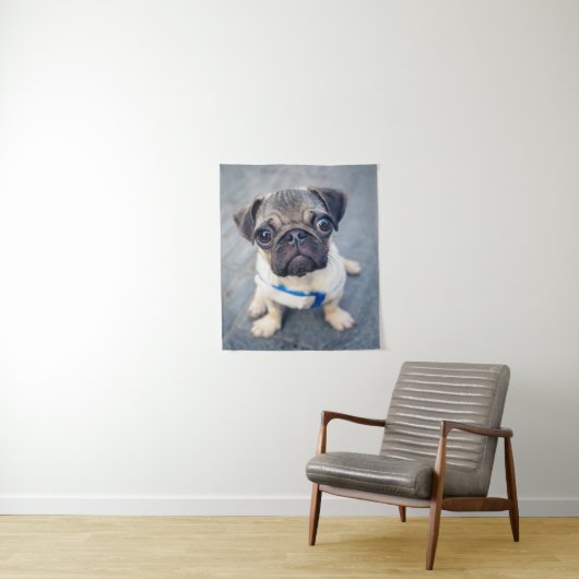 Kutest Baby Animals | Baby Pug Wandkleed (In situ)