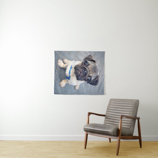 Kutest Baby Animals | Baby Pug Wandkleed (In Situ (horizontaal))