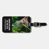 Kutest Baby Animals | Baby Red Fox Bagagelabel (Voorkant horizontaal)