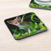 Kutest Baby Animals | Baby Red Fox Bier Onderzetter (Linkerzijde)