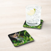 Kutest Baby Animals | Baby Red Fox Bier Onderzetter (Rechterzijde)