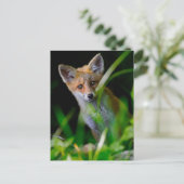 Kutest Baby Animals | Baby Red Fox Briefkaart (Staand voorkant)