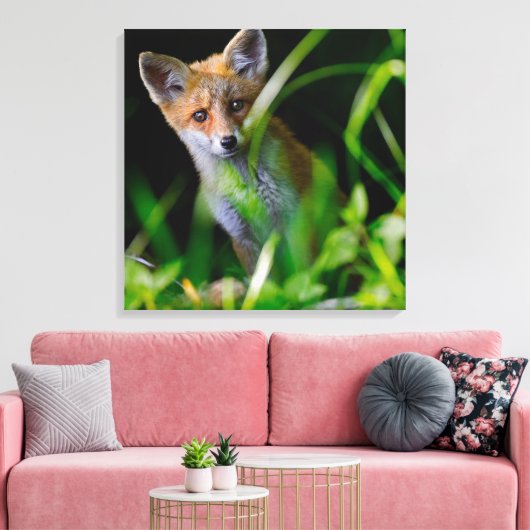 Kutest Baby Animals | Baby Red Fox Canvas Afdruk (Insitu (Woonkamer))