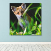 Kutest Baby Animals | Baby Red Fox Canvas Afdruk (Insitu (Houten vloer))