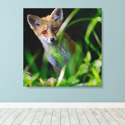 Kutest Baby Animals | Baby Red Fox Canvas Afdruk (Insitu (Houten vloer))