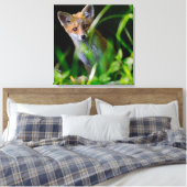 Kutest Baby Animals | Baby Red Fox Canvas Afdruk (Insitu (Slaapkamer))