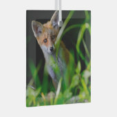 Kutest Baby Animals | Baby Red Fox Glas Ornament (Voorkant Rechts)