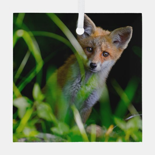 Kutest Baby Animals | Baby Red Fox Glas Ornament (Achterkant)