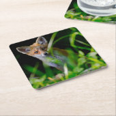 Kutest Baby Animals | Baby Red Fox Kartonnen Onderzetters (Schuin)