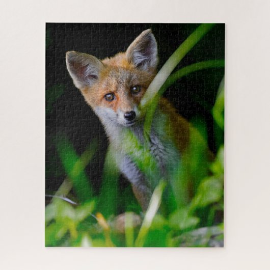 Kutest Baby Animals | Baby Red Fox Legpuzzel (Verticaal)