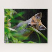 Kutest Baby Animals | Baby Red Fox Legpuzzel (Horizontaal)