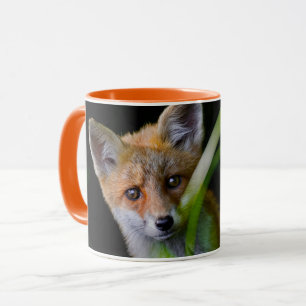 Kutest Baby Animals   Baby Red Fox Mok