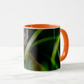 Kutest Baby Animals | Baby Red Fox Mok (Voorkant rechts)