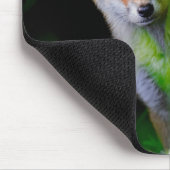 Kutest Baby Animals | Baby Red Fox Muismat (Hoek)