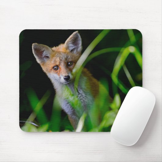 Kutest Baby Animals | Baby Red Fox Muismat (Met muis)