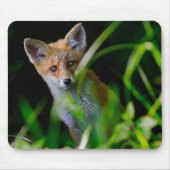 Kutest Baby Animals | Baby Red Fox Muismat (Voorkant)