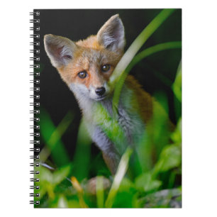 Kutest Baby Animals   Baby Red Fox Notitieboek