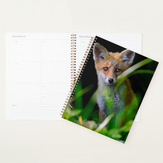 Kutest Baby Animals | Baby Red Fox Planner (Display)