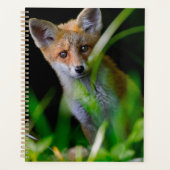 Kutest Baby Animals | Baby Red Fox Planner (Voorkant)