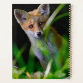 Kutest Baby Animals | Baby Red Fox Planner (Achterkant)