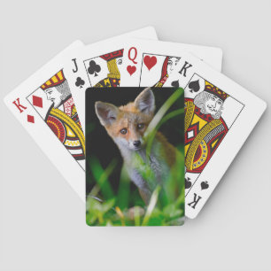 Kutest Baby Animals   Baby Red Fox Pokerkaarten