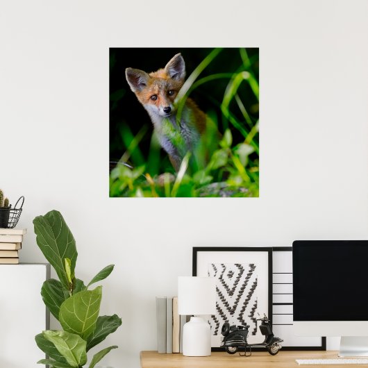 Kutest Baby Animals | Baby Red Fox Poster (Thuiskantoor)
