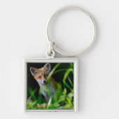 Kutest Baby Animals | Baby Red Fox Sleutelhanger (Voorkant)