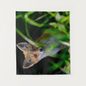 Kutest Baby Animals | Baby Red Fox Wandkleed (Voorkant)