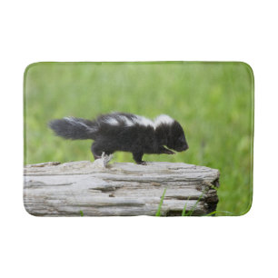 Kutest Baby Animals   Baby Skunk Badmat