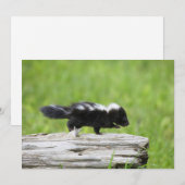Kutest Baby Animals | Baby Skunk Bedankkaart (Voorkant / Achterkant)