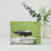 Kutest Baby Animals | Baby Skunk Briefkaart (Staand voorkant)