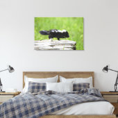 Kutest Baby Animals | Baby Skunk Canvas Afdruk (Insitu (Slaapkamer))