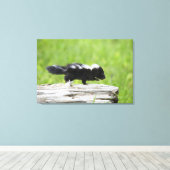 Kutest Baby Animals | Baby Skunk Canvas Afdruk (Insitu (Houten vloer))
